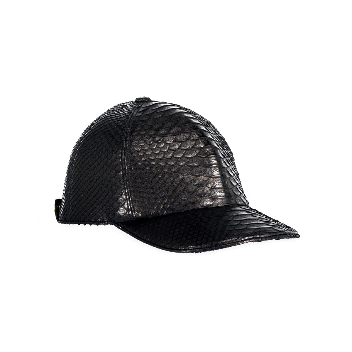 STALVEY The Big Deep Baseball Hat in Black Python Front View